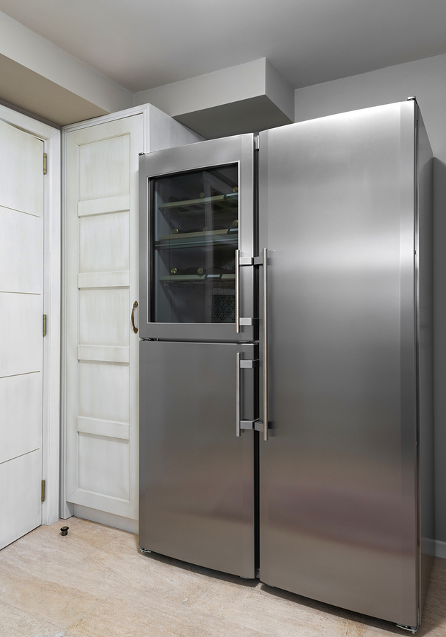 stainless steal refrigerator